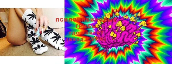 a pvp Новодвинск