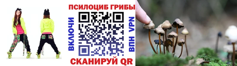купить наркоту  Березники  Галлюциногенные грибы ЛСД 