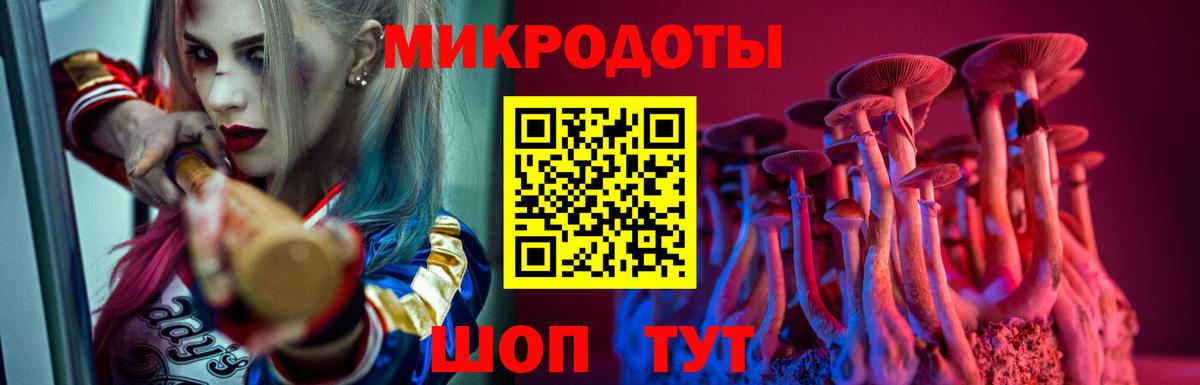 Галлюциногенные грибы Psilocybe Березники